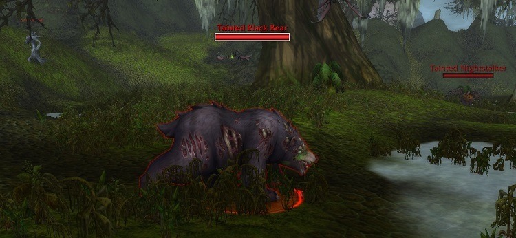 Tainted Black Bear
